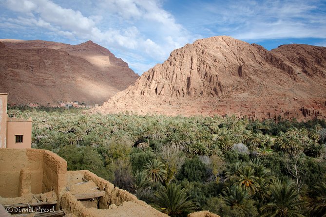 04 days Private Desert tour from Marrakech. - The private vehicle and guide make a real difference