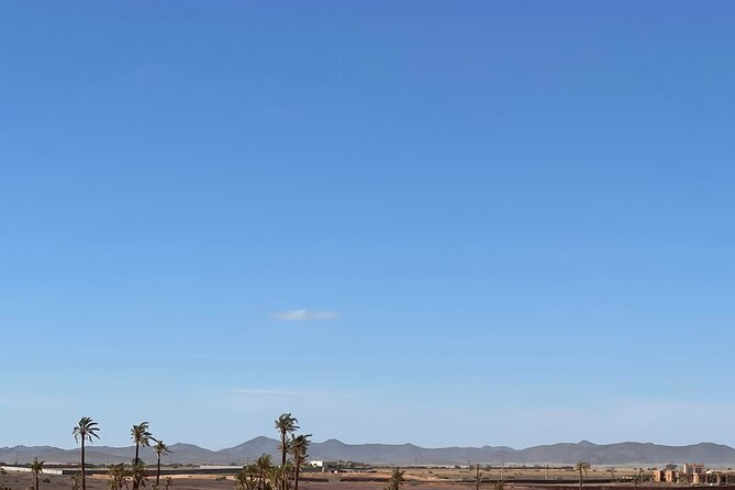 1/2 journée Quad Palmeraie Marrakech - Two hours across palms, rock, and open desert