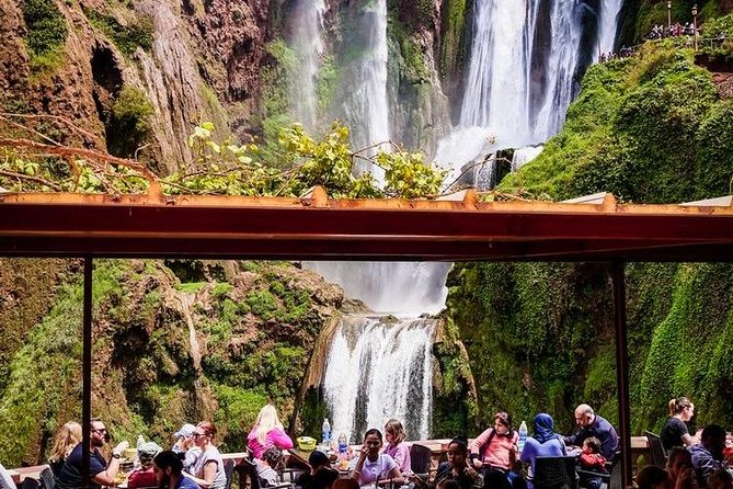 1 Day Tour from Marrakech To Ouzoud Waterfalls Small-Group - What the local guide adds, and what to clarify