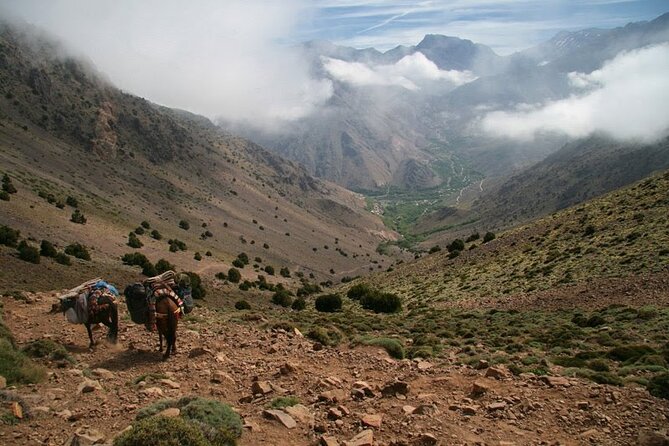1-Day tripTour from Marrakech to Imlil in Atlas Mountains - The drive from Marrakech to the Atlas Mountains