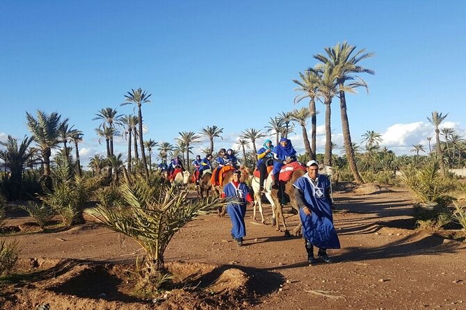 1-Hour Camel Ride and 1-Hour Quad Bike Ride in Marrakech. - Mint tea adds a Moroccan pause