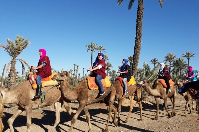 1-Hour Camel Ride and 1-Hour Quad Bike Ride in Marrakech. - Is the camel and quad combination worth booking?