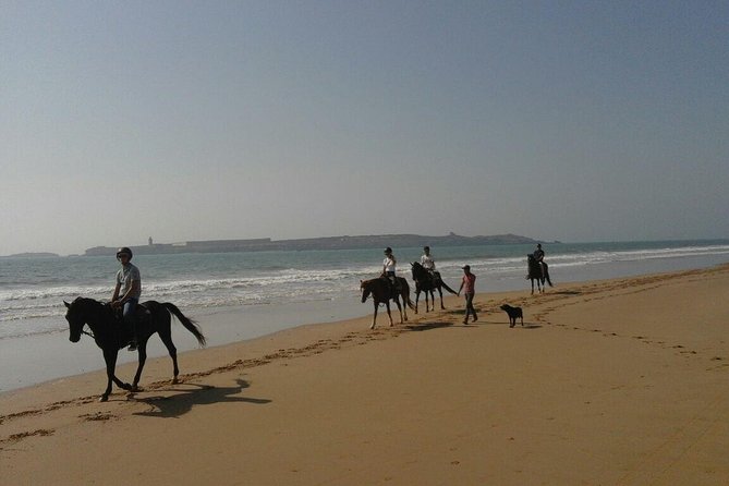 1 hour horse ride on the beach of essaouira - The beach section near Essaouira