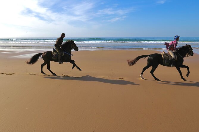 1 hour horse ride on the beach of essaouira - Who should book this outing?