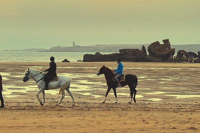 1 hour horse ride on the beach of essaouira - Practical details before you reserve