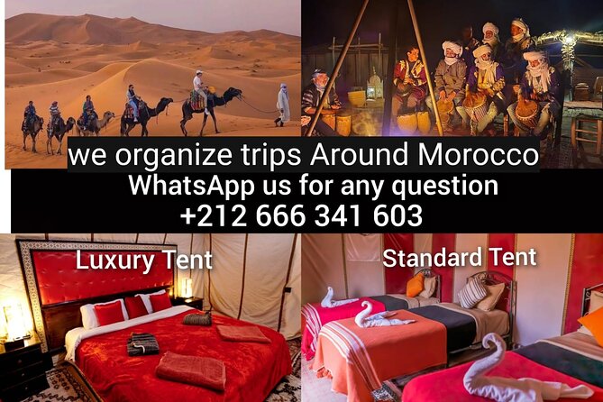 1 night Camel Treking in Merzouga Desert Luxury Camp - Why this overnight Merzouga trek works