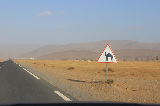 1 night in desert from Agadir - The return route through Tiznit
