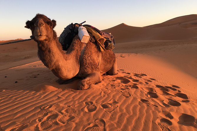 10-Day Chefchaouen to Sahara to Marrakech - Private Group - Erg Chebbi delivers the trip’s most memorable night