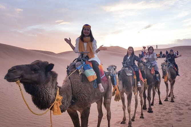 10 Days 9 Nights Luxury Tour of Morocco - The desert day, camels, and a luxury Berber camp