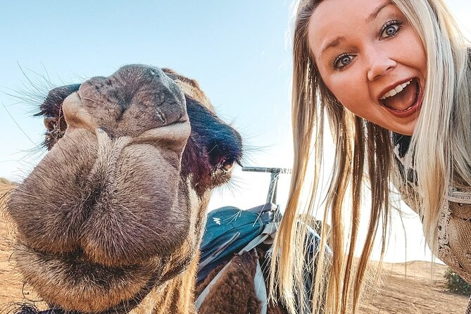 10 Days from Casablanca: The Best of Morocco - Rabat, Chefchaouen, and a long ride north