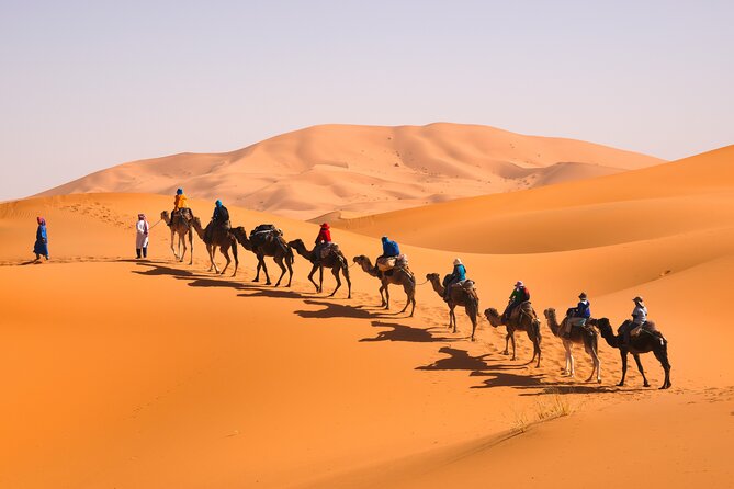10 Days Morocco Private Tour From Marrakech By South Desert And Imperials Cities - Todra Gorge and the first Sahara night