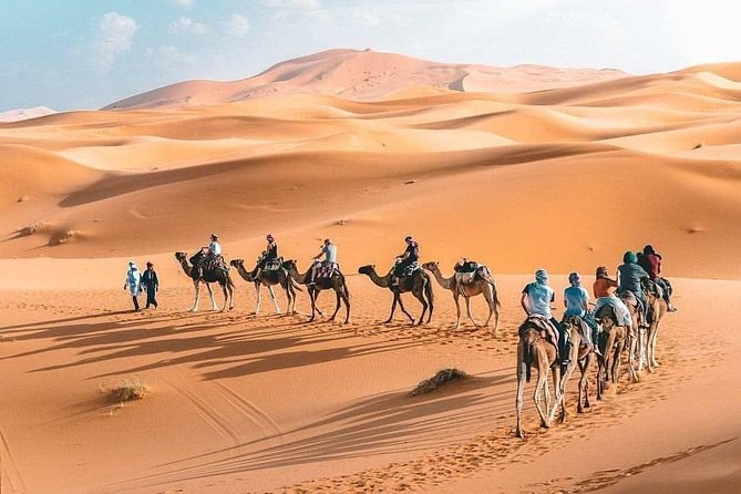 10D 9N Private Morocco Tour From Casablanca By Imperial Cities And South Desert - Fez, with a local guide inside the medina