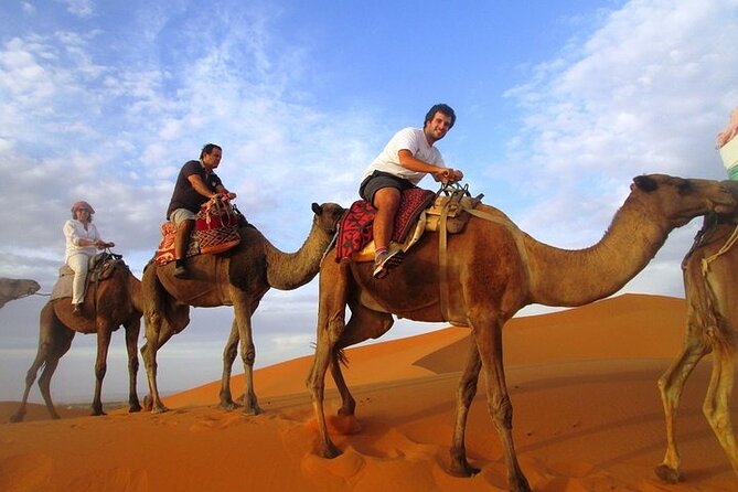 12 Days Private Luxury Sightseeing Tour in Morocco - Fes rewards a full guided day