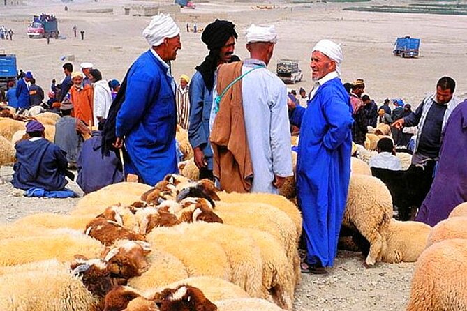 2 Day Desert Tour From Marrakech through the Atlas Mountains & Camel ride - Key points to know before booking