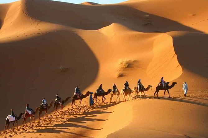 2 Day Desert Tour From Marrakech through the Atlas Mountains & Camel ride - Leaving Marrakech for the High Atlas