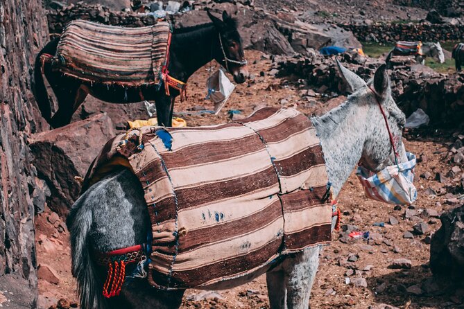 2 day mount toubkal trek ( private trek ) - Lunch at Base Camp and the Long Descent