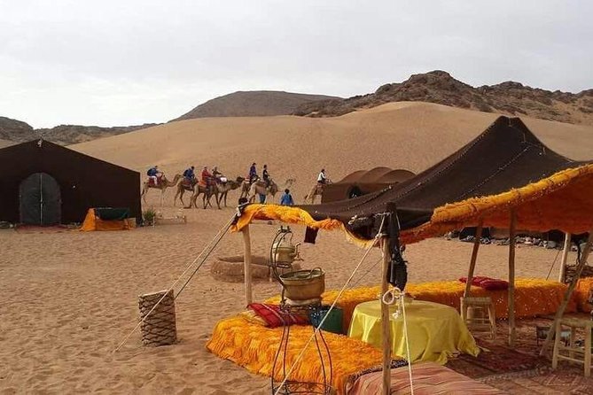 2-Day Zagora Tour from Marrakech Including the Atlas Mountains, Camel Trek and Desert Camp - Crossing the High Atlas at Tizi-n-Tichka