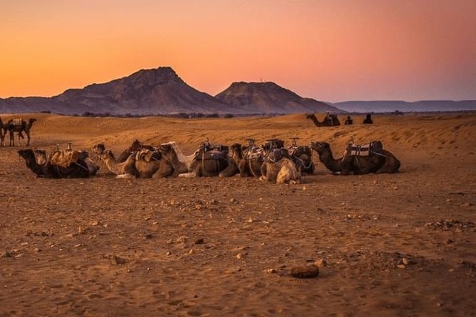 2 Days 1 Night Amazing Zagora Desert Tour From Marrakech - What this $81.19 tour really offers