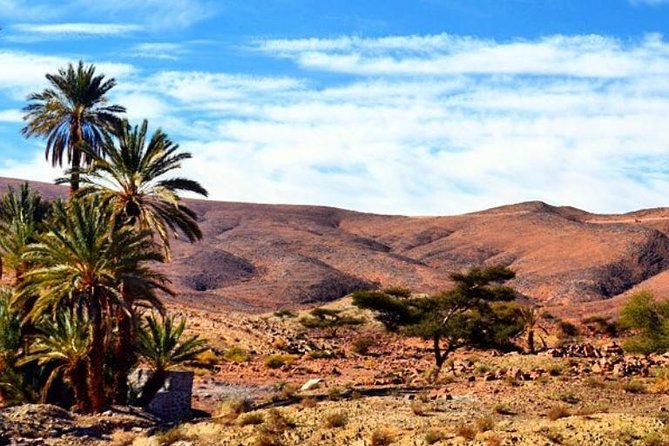 2 Days 1 Night Amazing Zagora Desert Tour From Marrakech - Ouarzazate and the long road south