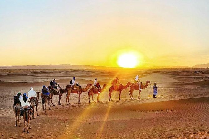 2 Days 1 Night Amazing Zagora Desert Tour From Marrakech - The biggest issue: too much road for one night