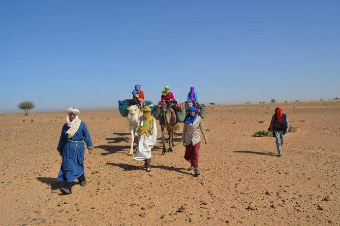2 Days 1 Night To Zagora Desert From Marrakech - Ait Ben Haddou and the architecture of the caravan route