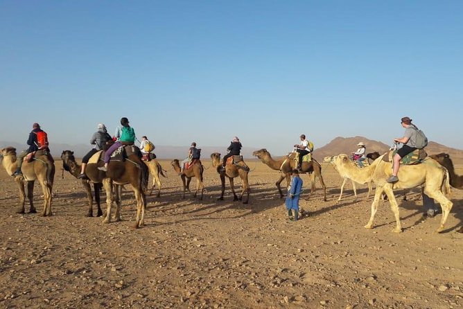 2 Days 1 Night To Zagora Desert From Marrakech - What the $98.72 price buys you