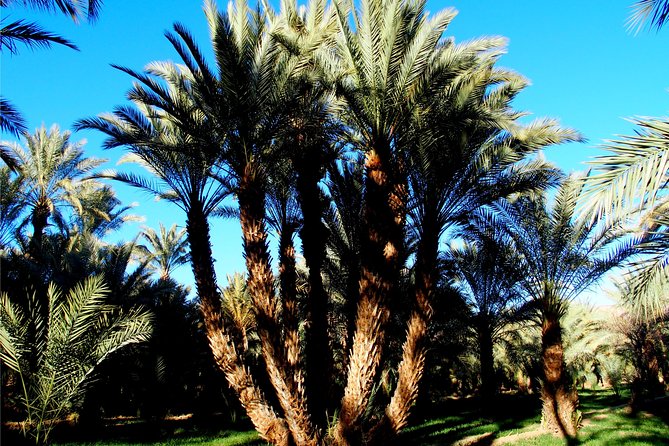 2 Days 1 Night To Zagora Desert From Marrakech - Arriving near Zagora and riding to camp