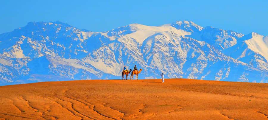 2 Days Desert Agafay and Atlas Mountains Trek From Marrakech - Should you book it?