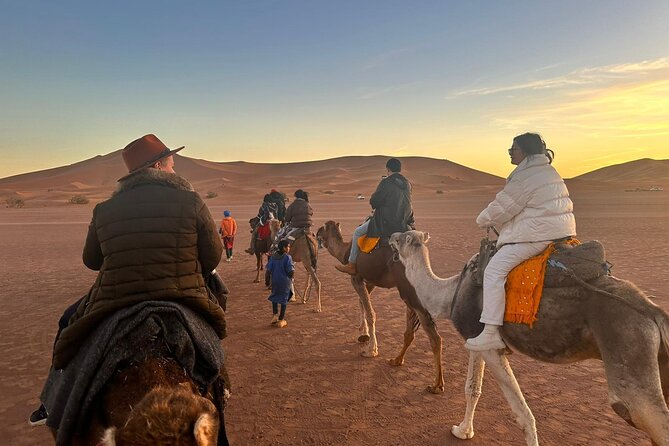 2-Days Desert Tours from Fes with Overnight in Luxury Camp - From Fes to the cedar forests of Azrou