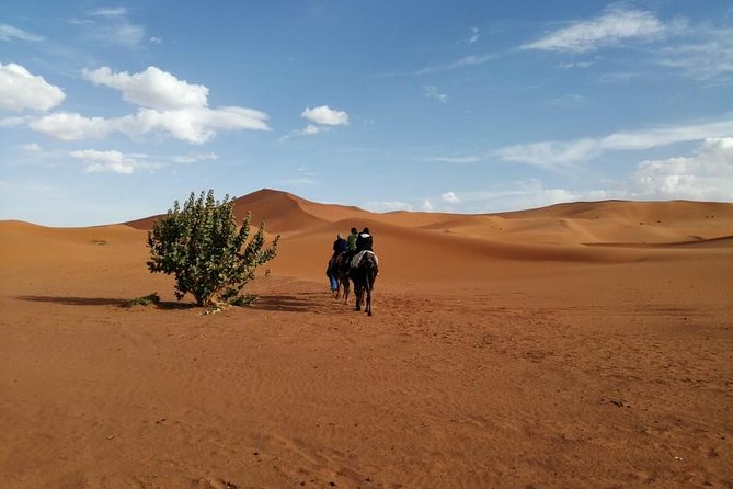 2 Days Fes Desert trip Overnight Erg chebbi End up Fes/Marrakech - Arriving at Merzouga and riding into Erg Chebbi