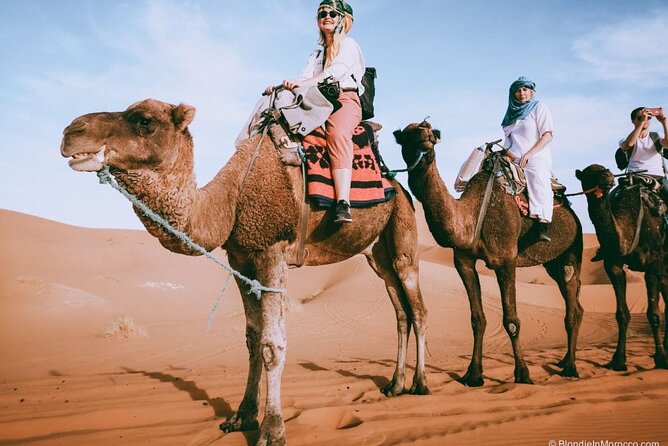 2 days luxury desert trip [fes to fes or marakech] - The long road to Merzouga