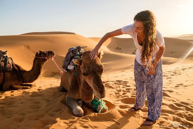 2 days luxury desert trip [fes to fes or marakech] - Day 1: from Fez to Ifrane and Azrou