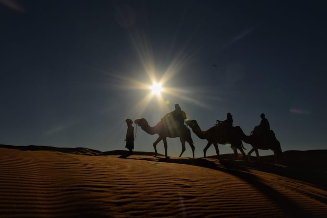 2 Days Trip from Fes to Merzouga with Overnight in Desert Camp - The Ziz Oasis near Errachidia