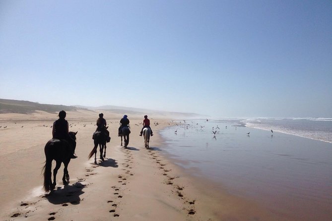 2 hours horse ride beach and dunes in Essaouira Morocco - Starting from Diabat near Essaouira