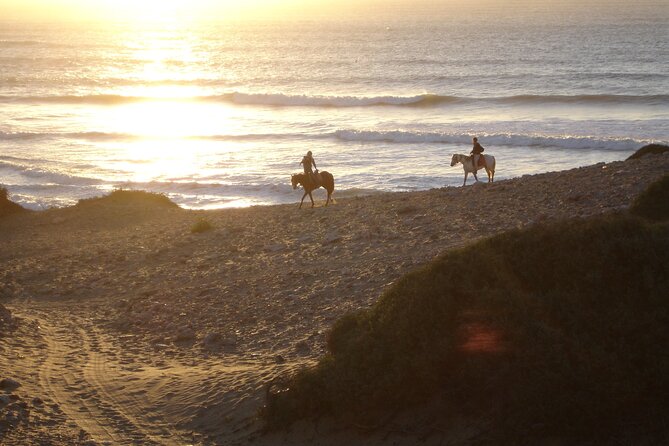 2 hours horse ride beach and dunes in Essaouira Morocco - The route through dunes and forest