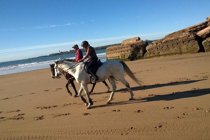 2 hours horse ride beach and dunes in Essaouira Morocco - Morning rides, sunset light, and timing