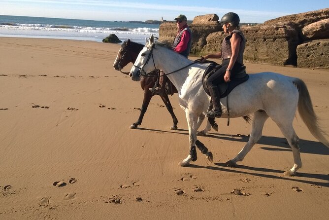 2 hours horse ride beach and dunes in Essaouira Morocco - Safety, ability, and horse welfare