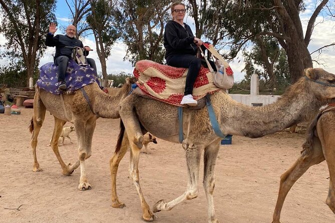 2 Hours Private Camel Ride in Agadir - From your Agadir hotel to the camel ranch