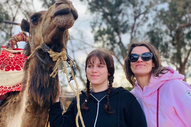2 Hours Private Camel Ride in Agadir - What the private format is worth at $17.47