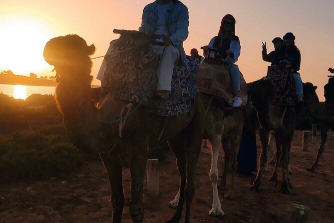 2 Hours Private Camel Ride in Agadir - Riding beneath the eucalyptus trees