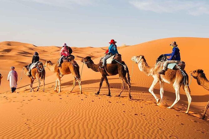 2Days Share Tour From Fes To Marrakech Or Fes Via Sahara & camel - Midelt lunch and the long road south