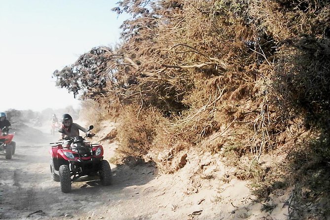 2h quad bike on the beach and in the dunes - Family suitability and rider ability