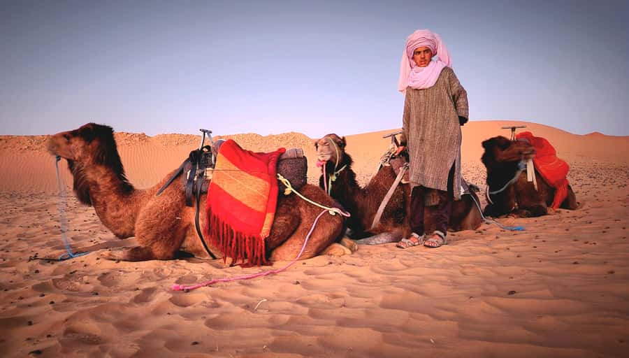 3-Day Desert Adventure: Ouarzazate to Merzouga - A Berber camp night under the stars