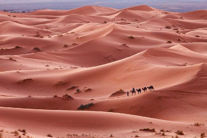3-Day Desert Experience from Marrakech - Accommodation, meals, and what to bring
