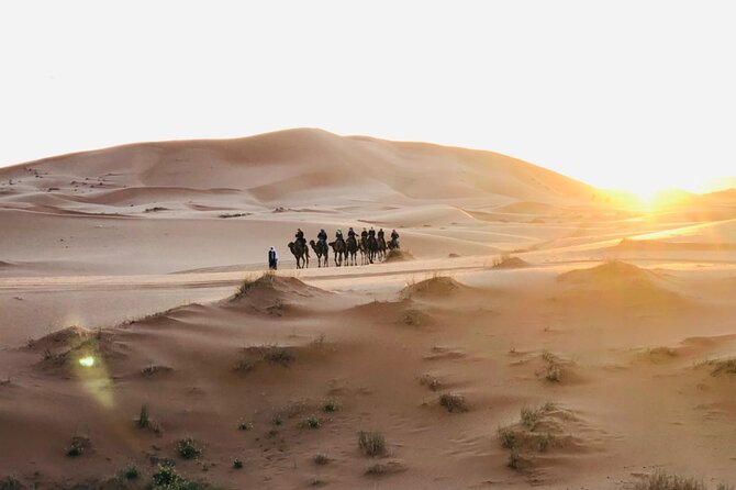 3-Day Desert Tour from Marrakech to Marzouga - Who should book this Sahara trip