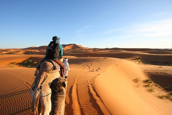 3 Day Desert Tour Marrakech to Fes - A long but rewarding road from Marrakech to Fes