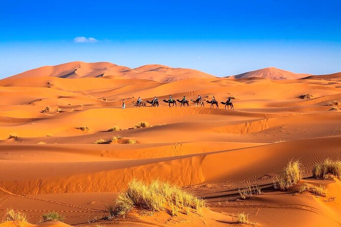 3-Day Desert Tour: Marrakech to Fes via Merzouga - Key points at a glance