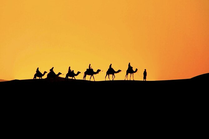 3-Day Desert Tour: Marrakech to Fes via Merzouga - The guide can shape the whole experience