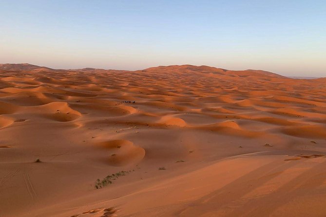 3-Day Desert Tour to Fez: Ouarzazate and Berber Village from Marrakech - From Erfoud to the Erg Chebbi dunes