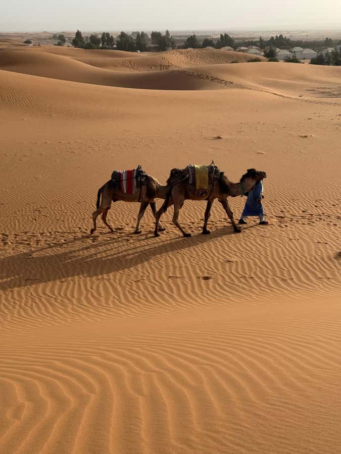 3-Day luxury Adventure: Marrakech to Merzouga incl.Quad/show - What the $214 price really covers